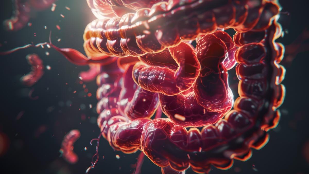 grasimile-saturate-ataca-intestinul-in-doar-doua-zile-2_46770100