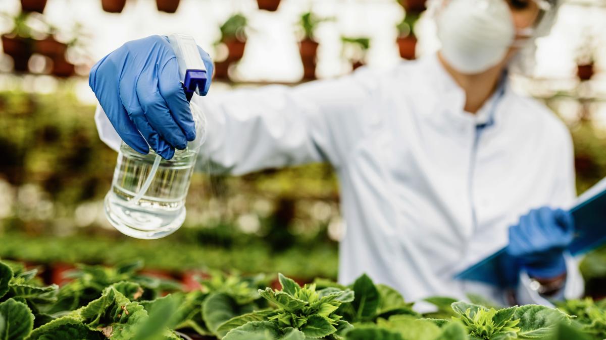 alimente-comune--contaminate-cu-pesticide-interzise--ce-trebuie-sa-stii_20692000