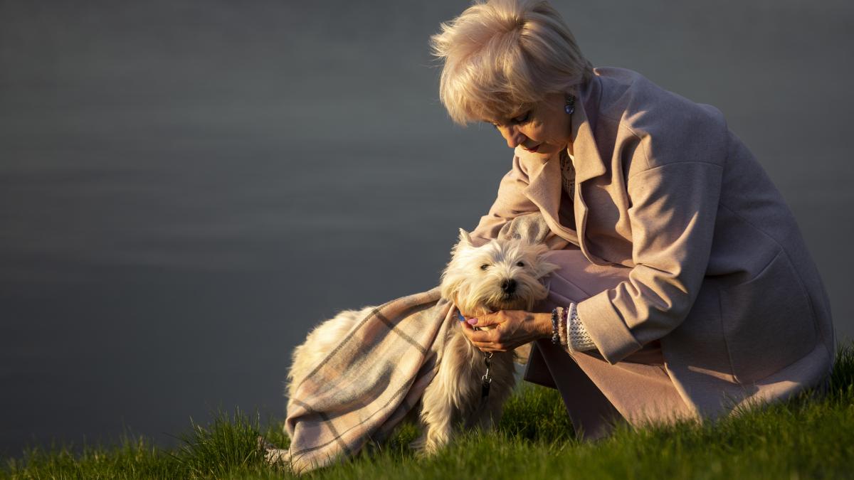 Câinii pot mirosi boala Parkinson cu o precizie de până la 98%