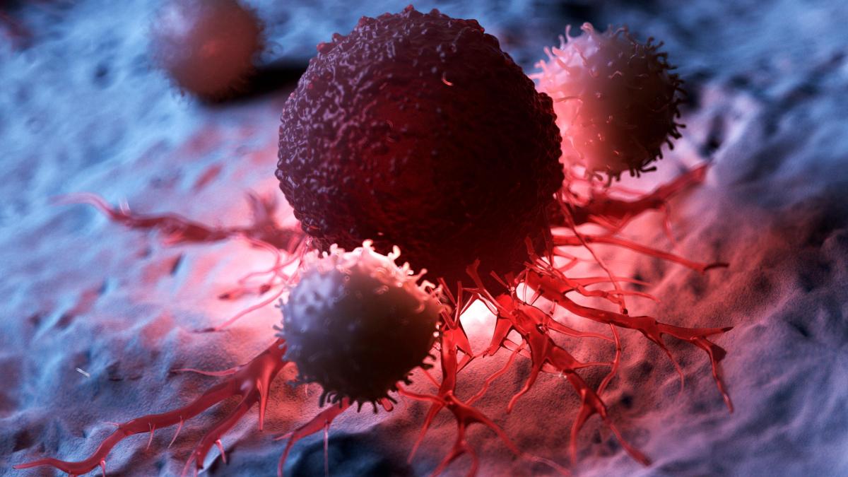 celule canceroase