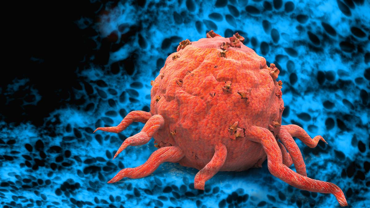 cancer imunoterapie