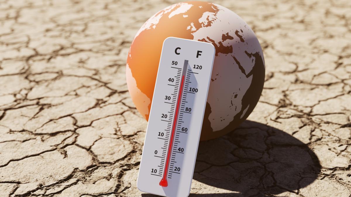 canicula schimbari climatice afectiuni sanatate publica