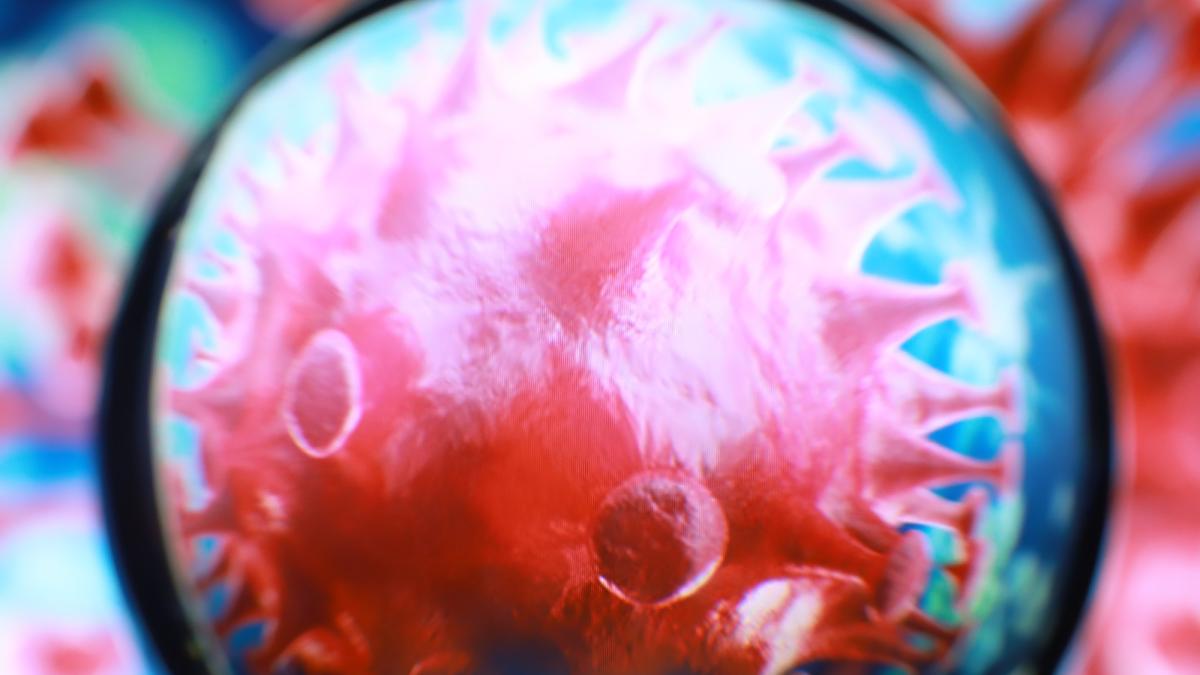 Antidepresivele SSRIs pot ajuta sistemul imunitar să lupte împotriva cancerului