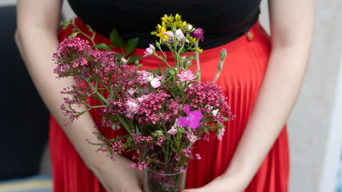 5 plante medicinale care ajută la echilibrarea hormonilor