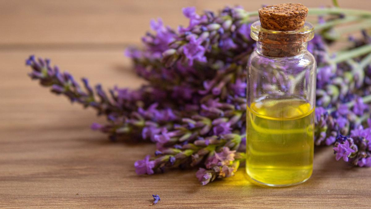 Uleiul de lavandă poate îmbunătăți somnul și reduce anxietatea după operațiile pe creier