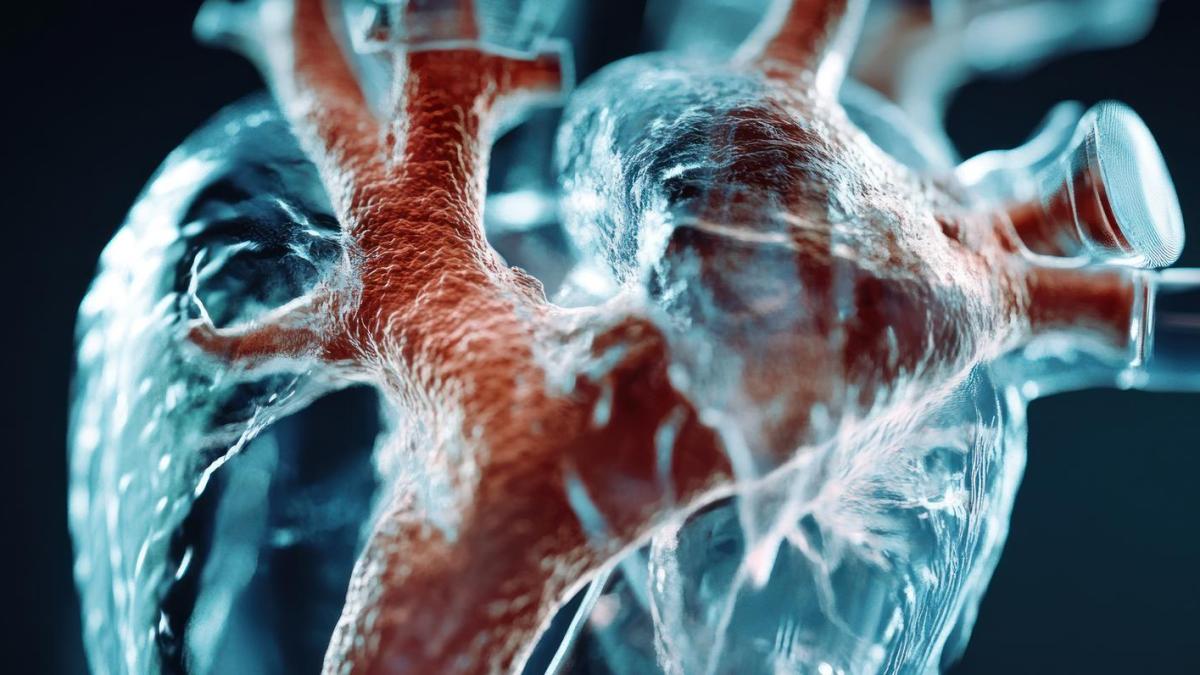 Stenoza aortică, simptome, diagnostic și tratamente moderne. Prof. dr. Horațiu Moldovan Începe să obosească, face sincope