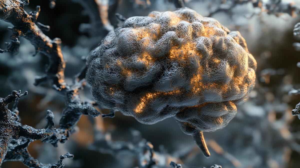 Ce se întâmplă cu creierul tău la mijlocul vieții te va șoca