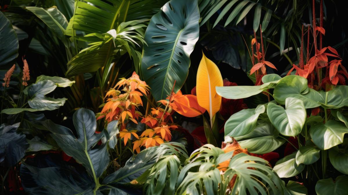 Bidara, frunza tropicală care omoară microbii