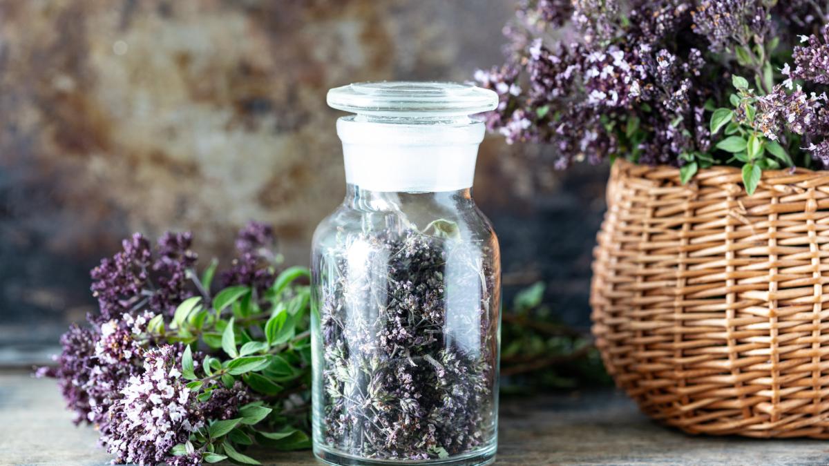 tinctura-de-valeriana