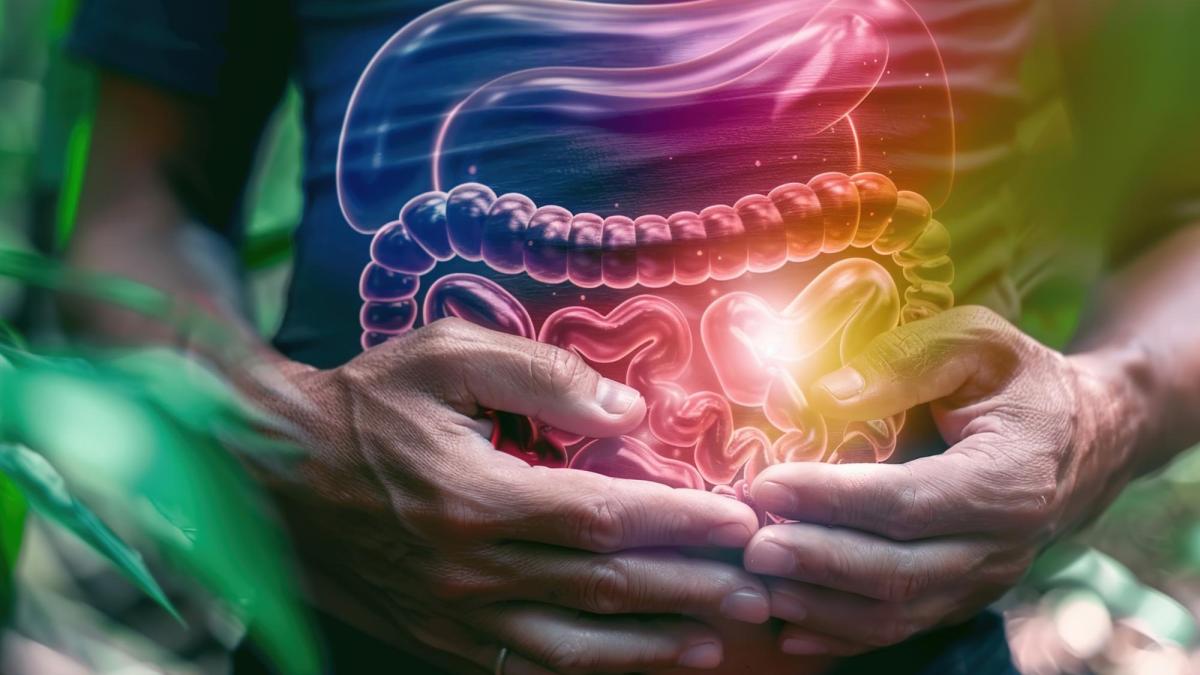 Tranzitul intestinal frecvența scaunului poate influența sănătatea