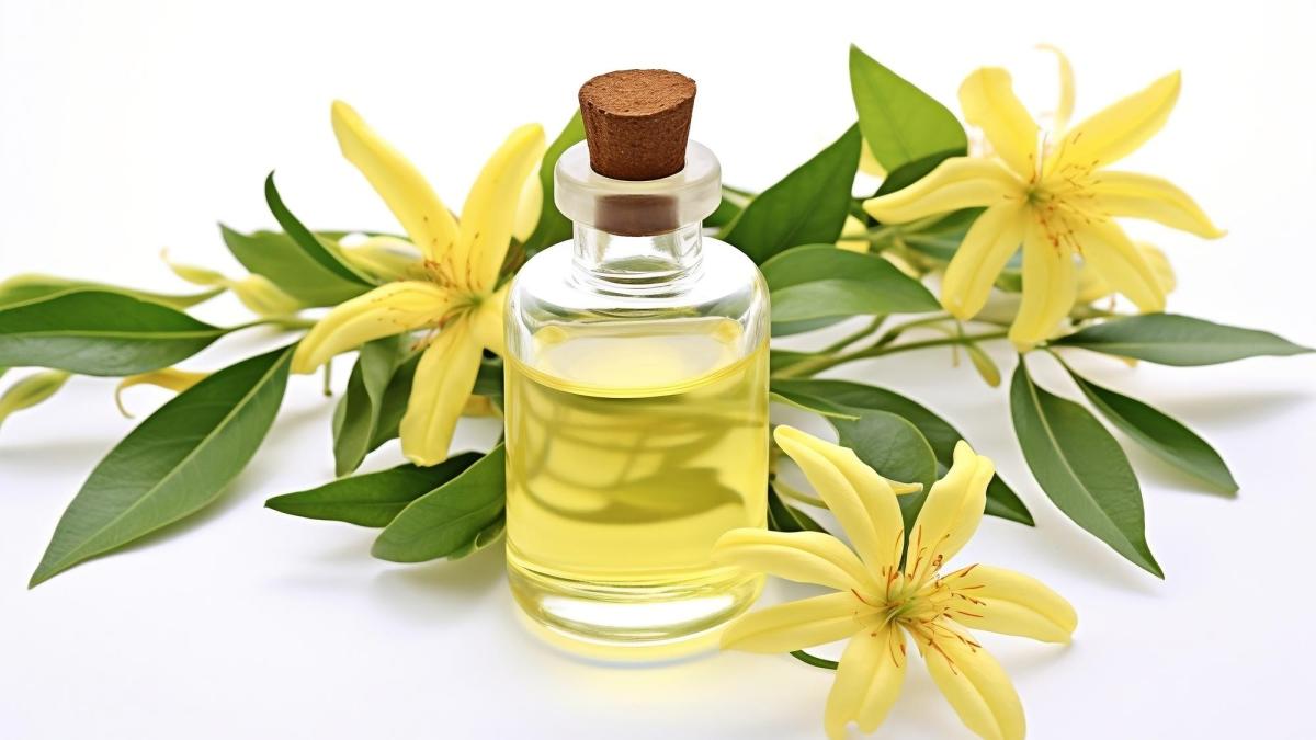 ulei-esential-Ylang-Ylang