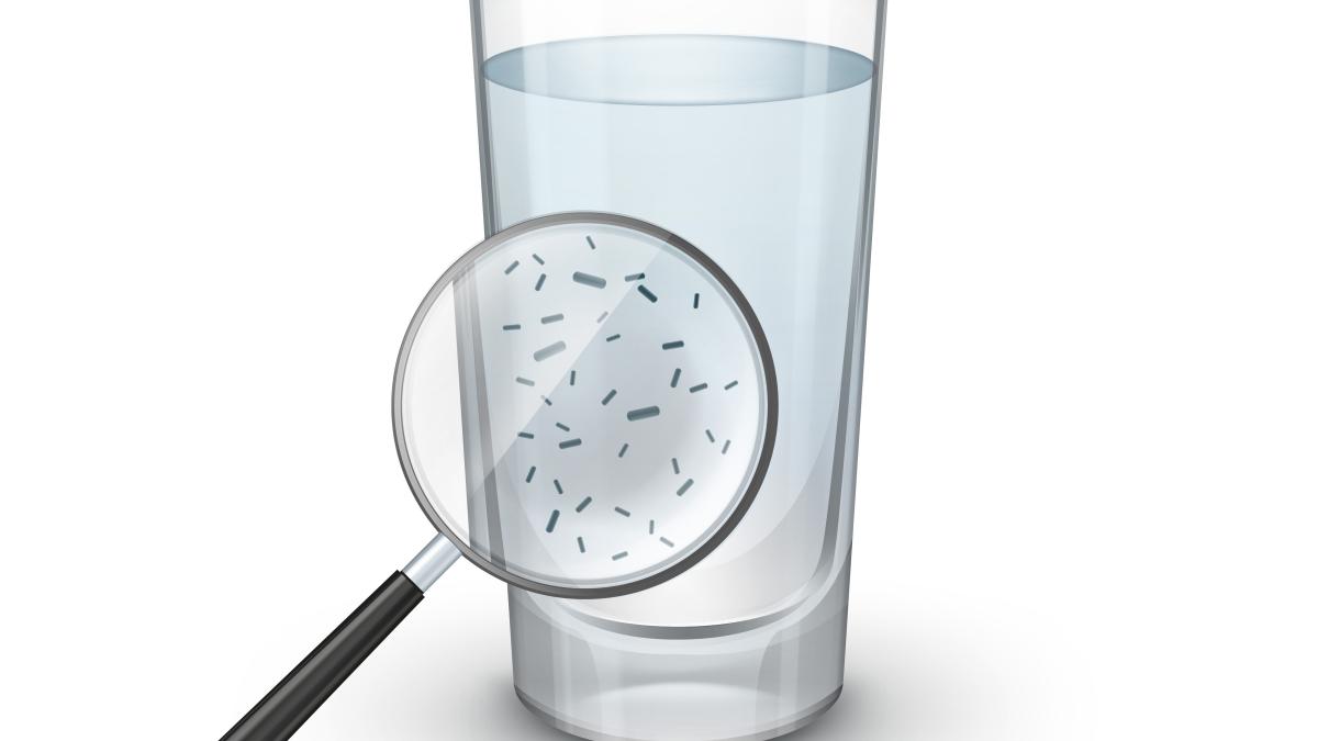 apa-fenoli-sarcina-pfas