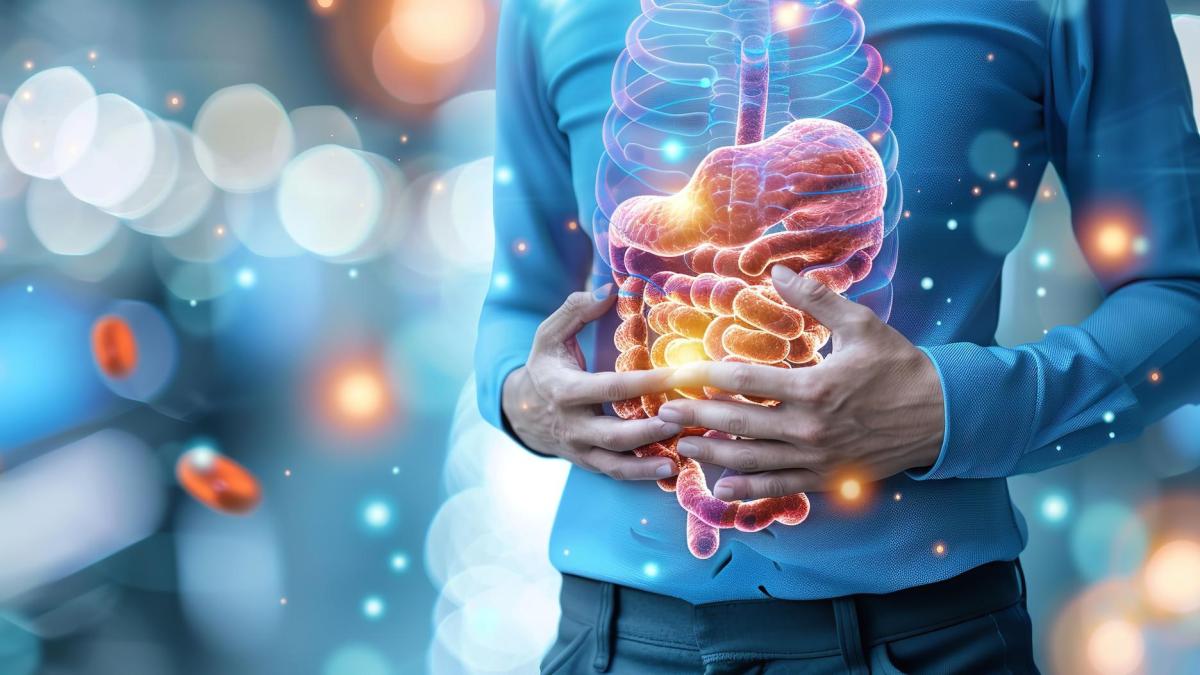 intestine