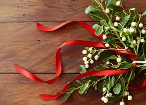 vascul planta toxica sau remediu miraculos