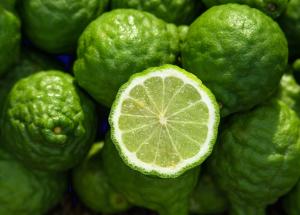 bergamota 3 beneficii principale pentru sanatate