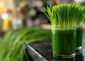 planta numita sangele verde care distruge infectiile si incetineste cancerul de ce o adora tot mai multi oameni