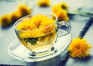 ce se intampla in corp cand bei ceai de papadie ce au descoperit cercetatorii despre planta taraxacum officinale
