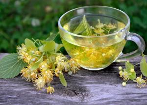 cum se culeg si se usuca corect florile de tei pentru un ceai terapeutic desavarsit
