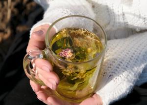 ce este ceaiul de cerasee remediul amar pe care multi il folosesc pentru diabet si tensiune
