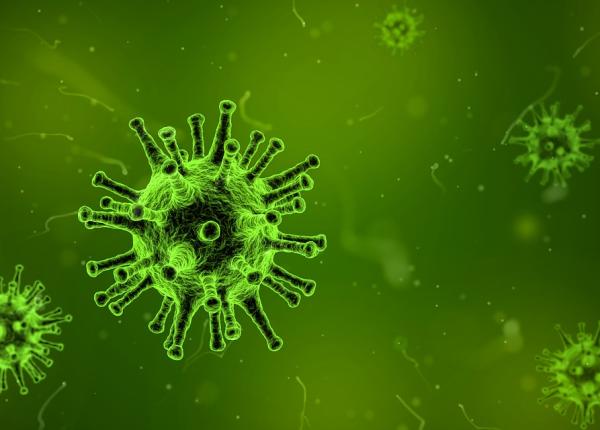 suedia studiu comutatorul molecular secretul bataliei cu inflama iile