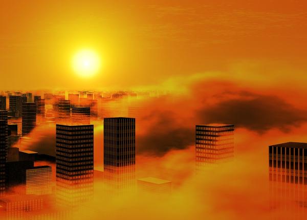 poluarea afecteaza inteligenta studiu facut pe 20 000 de oameni