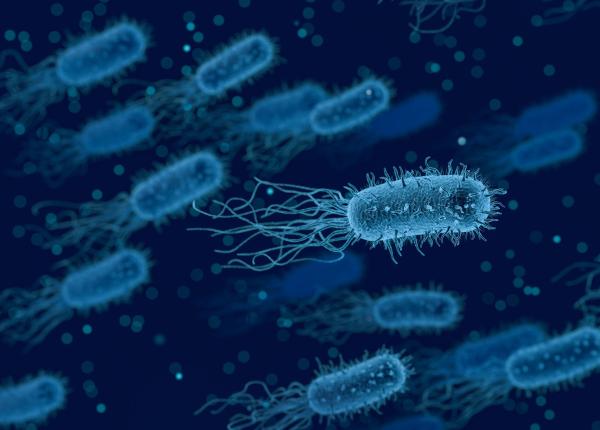 tulpina a unei bacterii factor de risc principal pentru cancerul de stomac tulpina a unei bacterii factor de risc principal pentru cancerul de stomac