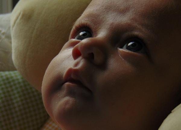 malforma ii congenitale momente decisive in tratarea lor prof dr sebastian ionescu interviu exclusiv malforma ii congenitale momente decisive in tratarea lor prof dr sebastian ionescu interviu exclusiv