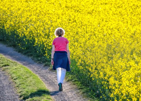 memorie mai buna cu o activitate la indemana tuturor afla ce trebuie sa faci