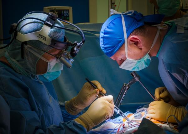 transplant cardiac in romania medic 150 de inimi aruncate la gunoi