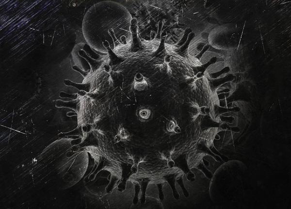 rolul migra iei in declan area epidemiilor fiecare persoana este o bomba biologica