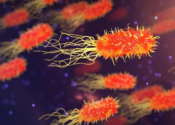 nsp stare de alerta o infectie virala foarte contagioasa face victime