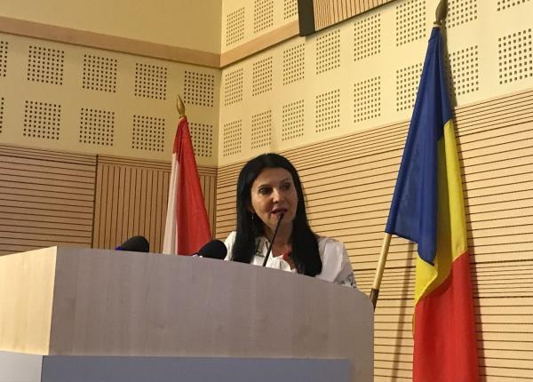 romania a ramas fara banca de piele  pintea  era o improvizatie