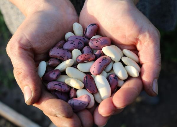 alimente care i produc balonare i gaze