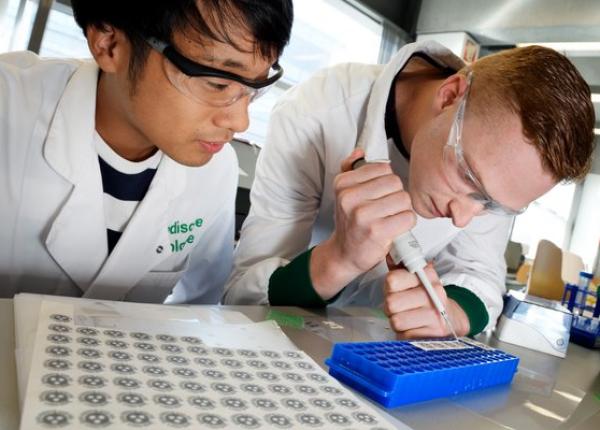 infec ie a creierului sau un cancer un nou test rapid ar putea raspunde