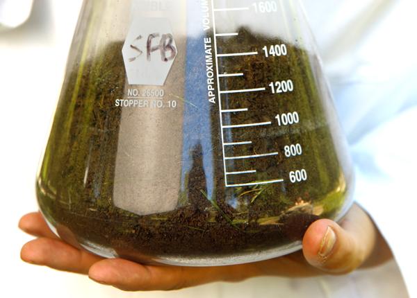 tuberculoza multidrog rezistenta antibiotic nou extras din arana