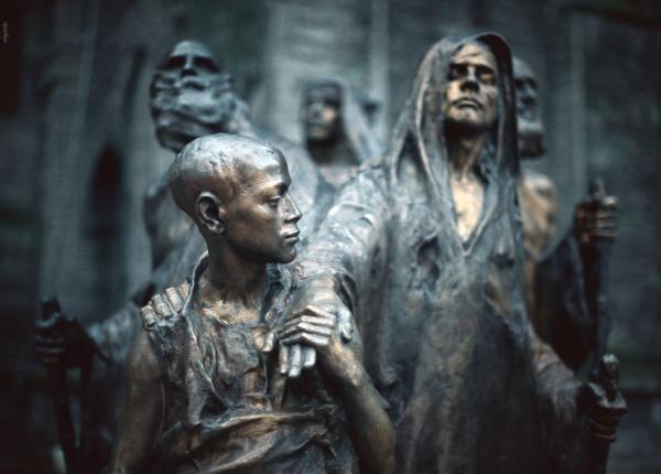 pierderea progresiva a vederii tratament nou care opre te boala