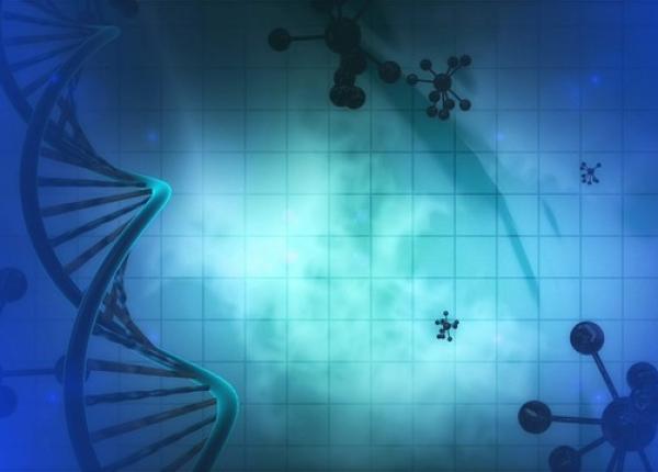 amarant alimentul minune care vindeca boli crunte