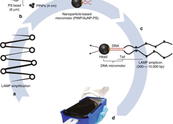 infec ia cu hiv detectata de o aplica ie pe telefon
