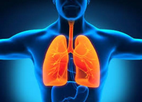 pneumococi modul in care provoaca boala