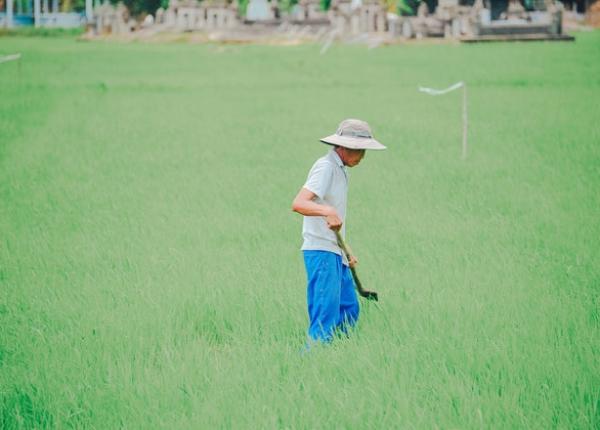 boala lyme ar trebui recunoscuta drept boala profesionala