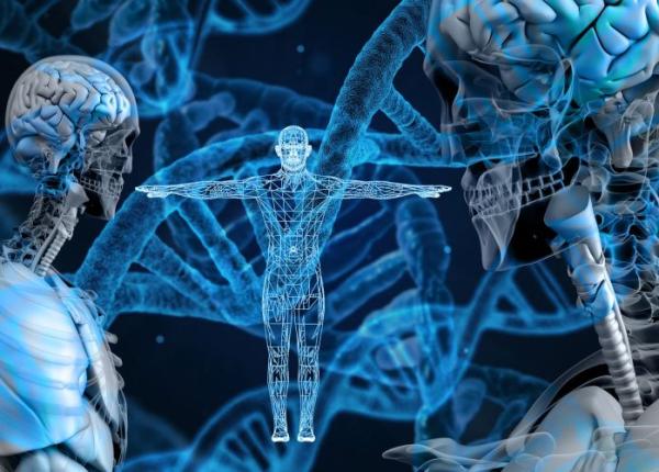 testare genetica a embrionilor in fiv progresul provoaca temeri in randul speciali tilor