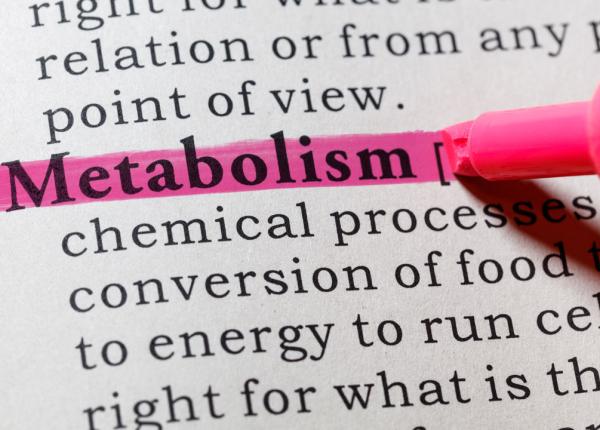 accelereaza i metabolismul cu acest aliment