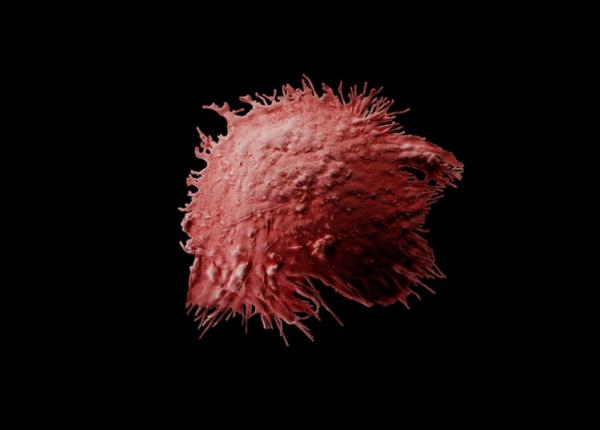 cancer celule din piele reprogramate sa lupte cu boala