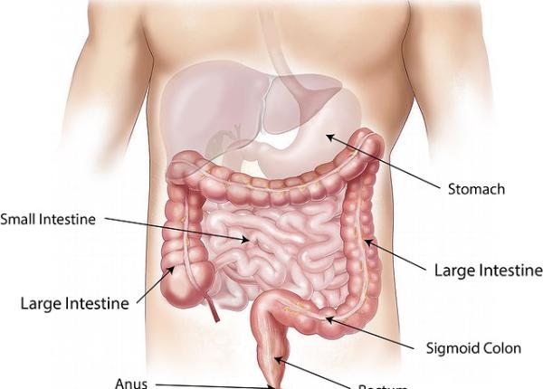 cancer colorectal o treime din pacien i nu renun a la screening
