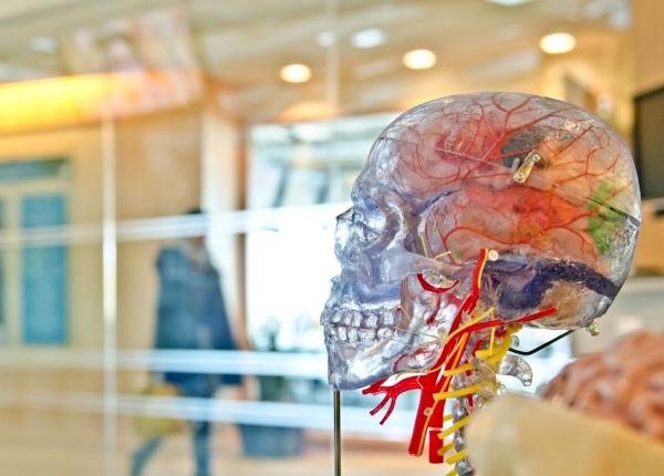 unele tumori cerebrale pot raspunde la imunoterapie