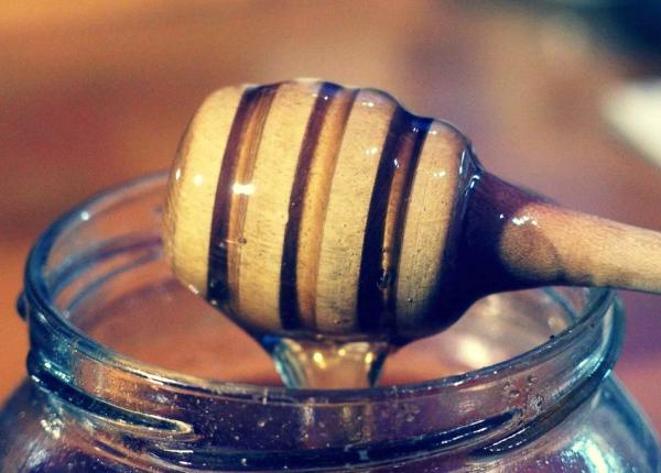 miere pentru to i pre colarii i colarii de anul viitor lege publicata