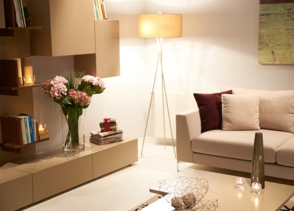 sanatatea incepe din casa sfaturi pentru o locuin a sanatoasa i sigura