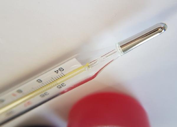 decese cauzate de virusul gripal in romania