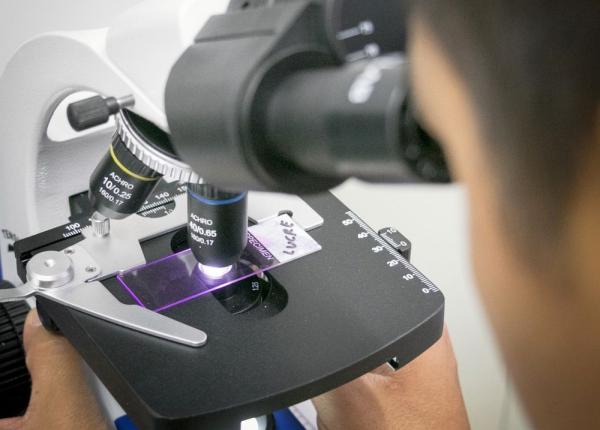 romanul care a pierdut premiul nobel pentru ca a plecat in concediu exclusiv