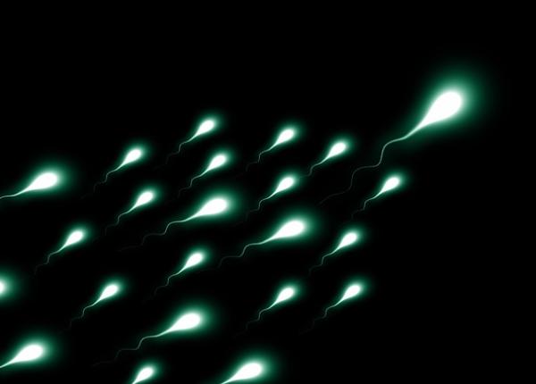 cum produc barba ii sperma continuu solu ie in tratarea infertilita ii